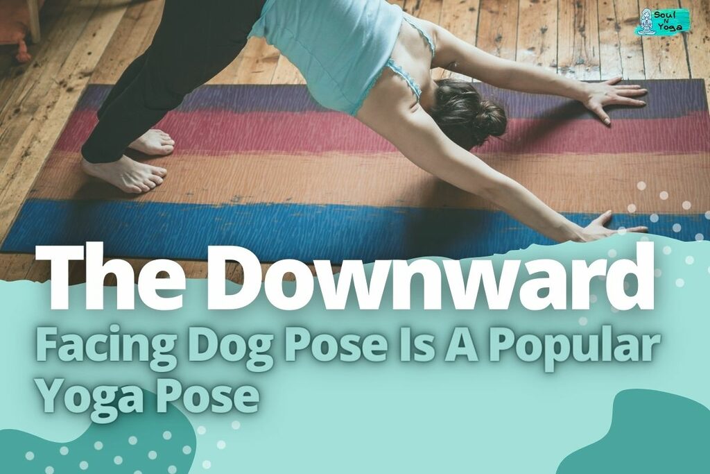 a women in blue top doing downward facing dog pose